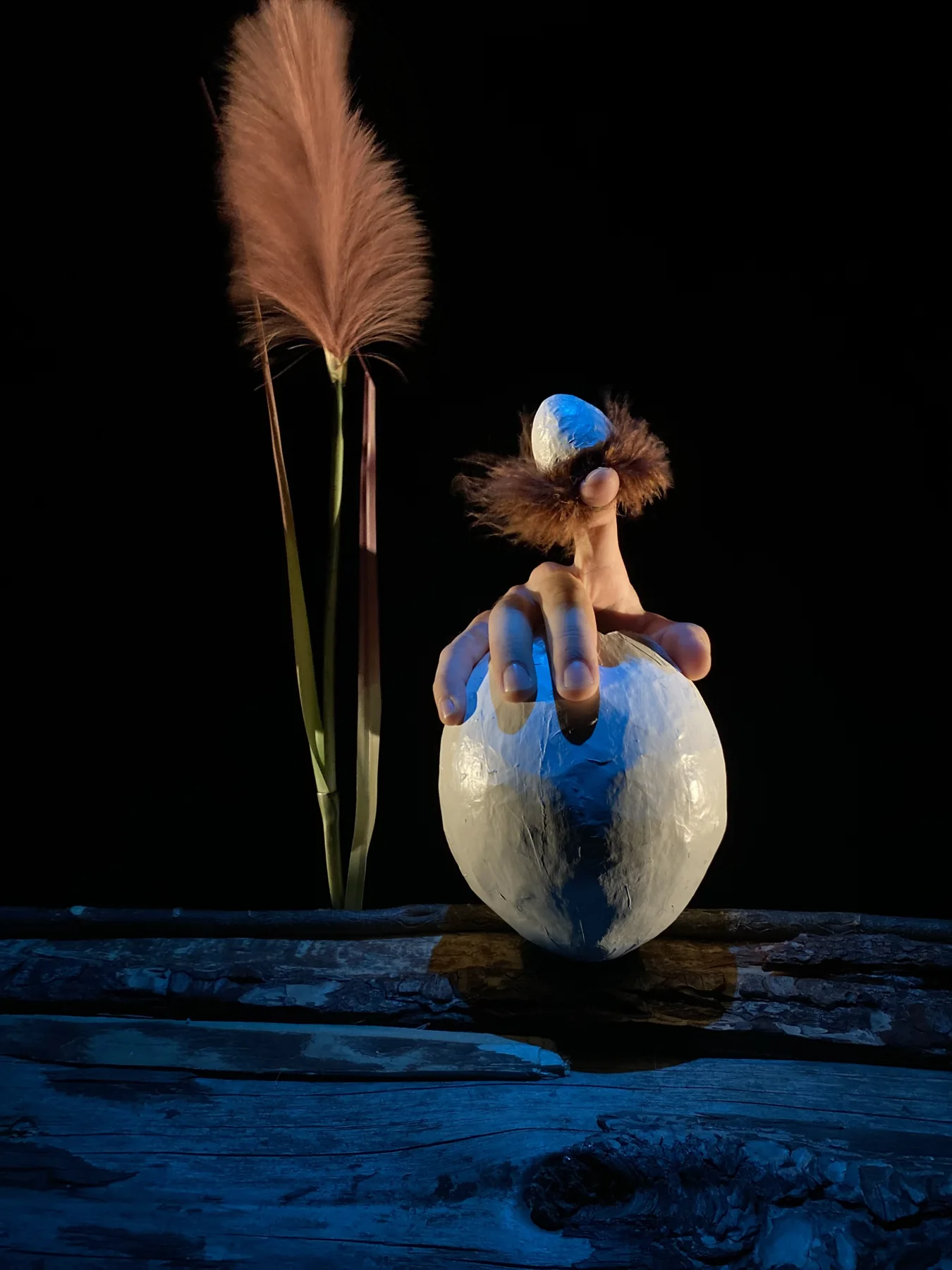 Sha Doizo — photographie de spectacle